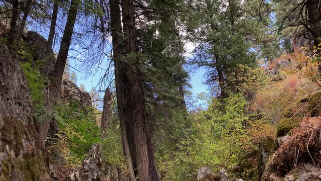 Potter's Creek In Rural Union County, Oregon (4k)