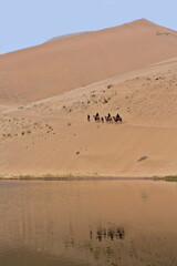 Fototapeta na wymiar Tourist camel caravan reflection-Lake Badain East. Badain Jaran Desert-Inner Mongolia-China-1044