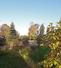 Naklejka premium autumn in the park with a pond