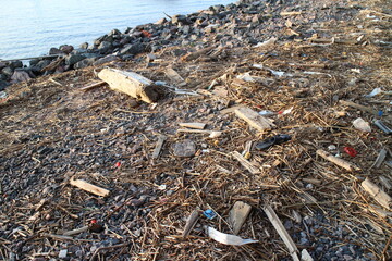 Logs and boards by the sea