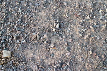 stones on the ground near the road lit by the sun