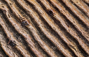 Typical paving stones detail in Tiradentes, Minas Gerais, Brazil  