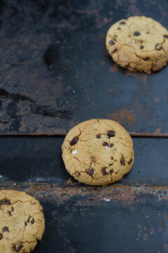 Chocolate chip cookie