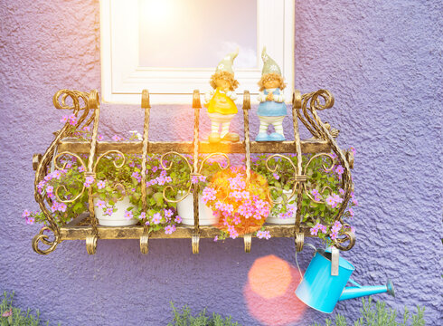 Window, fence and flower decorations
