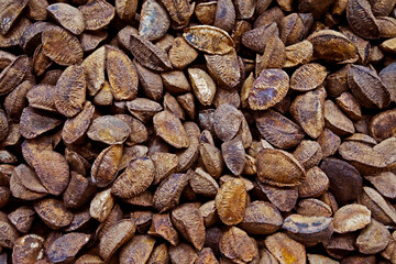 Brazil nuts in the market, Belo Horizonte, Minas Gerais