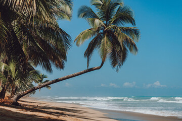 Palm trees on the paradise beach with yellow sand, big waves and blue water of Atlantic Ocean, Las Terrenas, Samana, Dominican Republic 