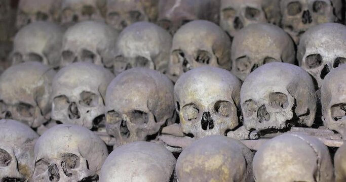 Many dead human skulls in rows