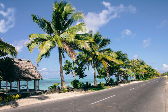 Palm trees and road next to the sea on exotic tropical island