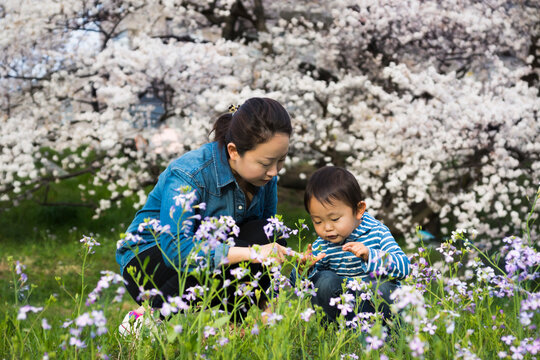 Asian family with wildflowers in spring
