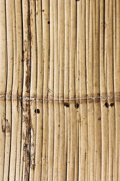 Background made from Bamboo