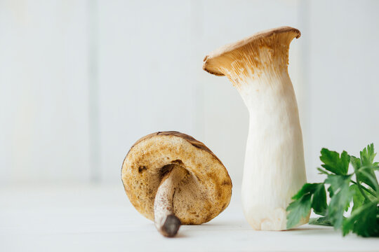 Food: wild and cultivated mushroom, Leccinum scabrum and Pleurotus eryngii (king oyster) edible mushroom with parsley on white wooden background