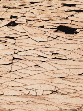 Close up of rock cracks and patterns