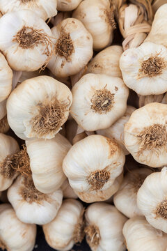 Garlic Cloves on sale, England, United Kingdom
