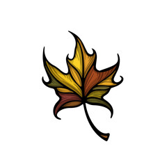 Falling maple leaf colorful vector illustration. Decorative hand drawn organic autumn leaf collection. Isolated on white background