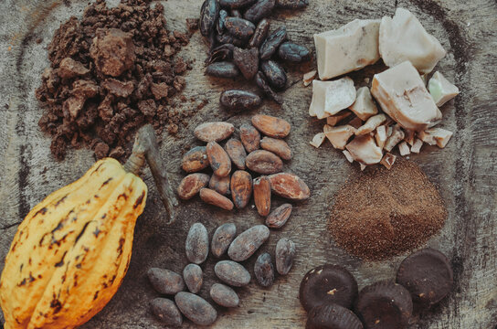 Chocolate making process; overhead view of the assorted cocoa beans and cacao in different stages