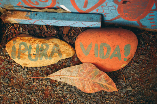 Colorfully painted garden stones with written Pura Vida message