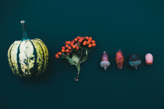 Autumn details