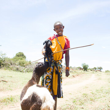 Young Maasai girl with mother goat and newly born kid goat.