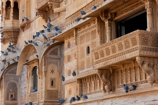 Pigeons on sandstone facade Maharajas Palace, Jaisalmer, India