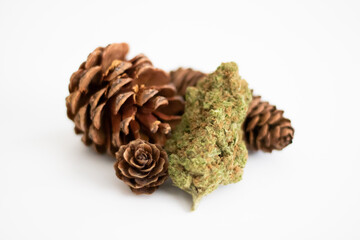 Cannabis nug with pinecones on white background