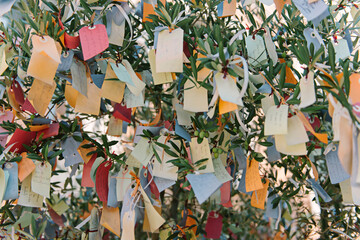 Notes of hope and wishes on a tree
