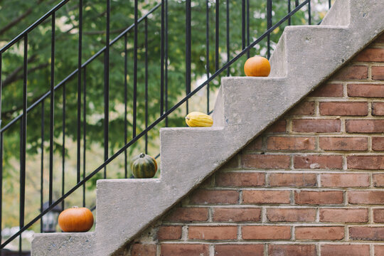 Autumn squash and pumpkin on front steps