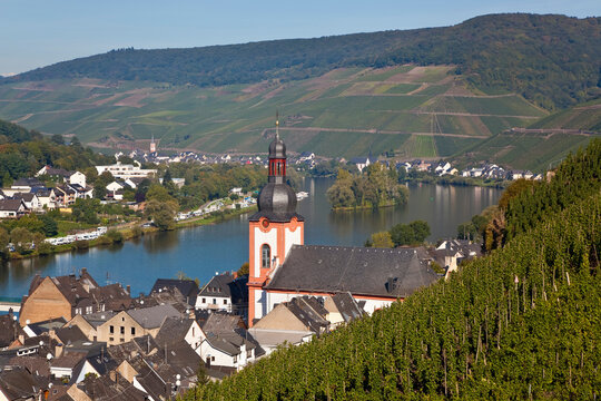 Vineyards & Zell Mosel Village, Mosel Valley, Germany