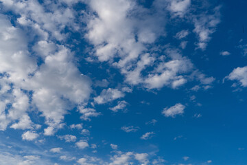 blue sky with white clouds