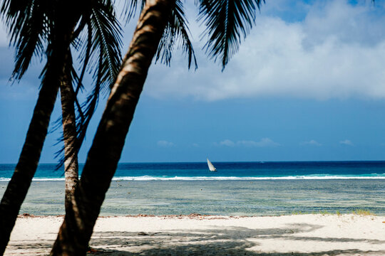 Empty Beach Paradise