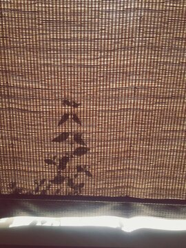 Shadow of A Plant On A Window Shade