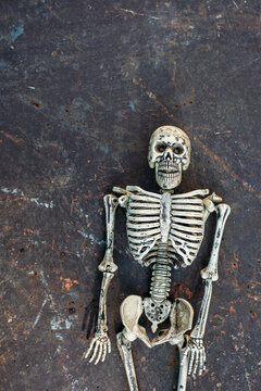Half body of a skeleton in front of a grungy background