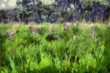 Landscapes of mountain meadows, pine forests and pink flower fields Illustrations creates ant style impressionis of painting.