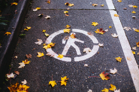 Walk sign with scattered leaves.