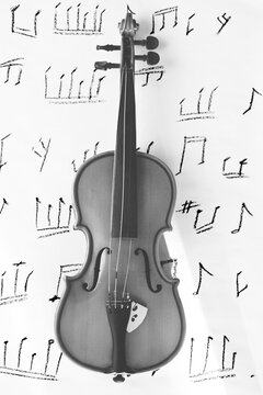 Violin