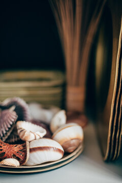 Collection of shell