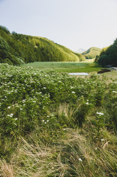 View of Pratignano lake and sourroundings in the Emilia Romagna side of the tuscan Apennines