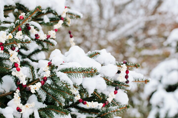 snow covered fir tree decorated with cranberry and popcorn garland