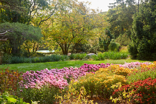 Beautiful flower garden with pond and colorful flowers growing in September near Minneapolis MN