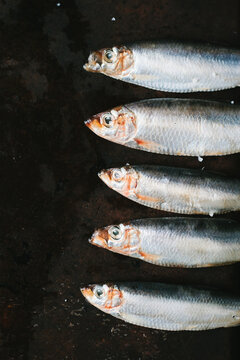 Five little fishes