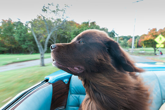 Cruisin'
