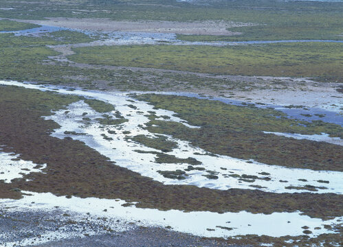 loch duich tidal flats low tide ribbons streams meander scotland United Kingdom abstract