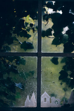 A wintery scene on an ivy-clad window.