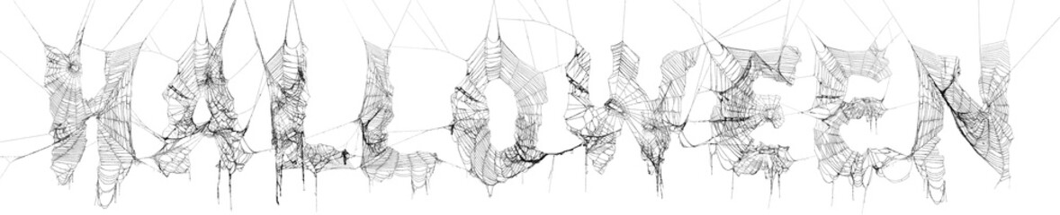 Collage of real spider webs to make highly detailed Halloween text on white
