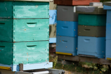 Apiary