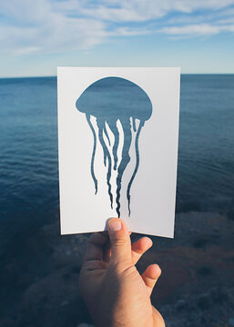Jellyfish and sea view