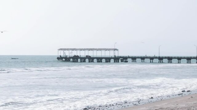 dock tambo de mora chincha