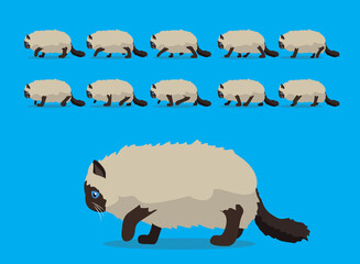 Animal Animation Sequence Cat Ragdoll Cartoon Vector