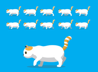 Animal Animation Sequence Exotic Shorthair Cat Cartoon Vector