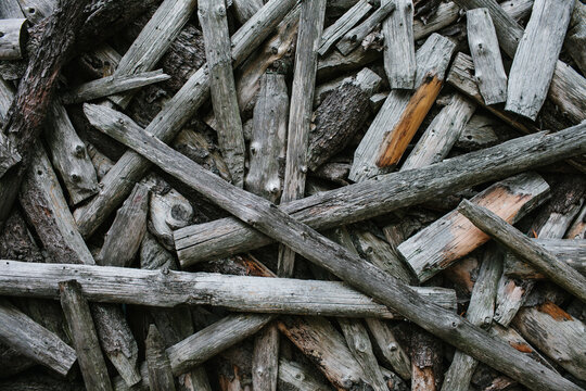 Planks of wood