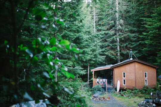 Cabin in the woods